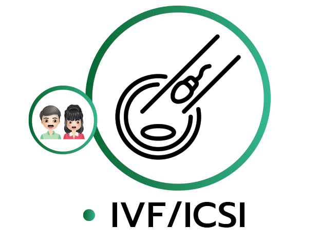 IVF-ICSI