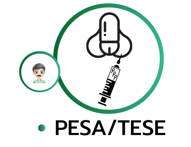 PESA TESE